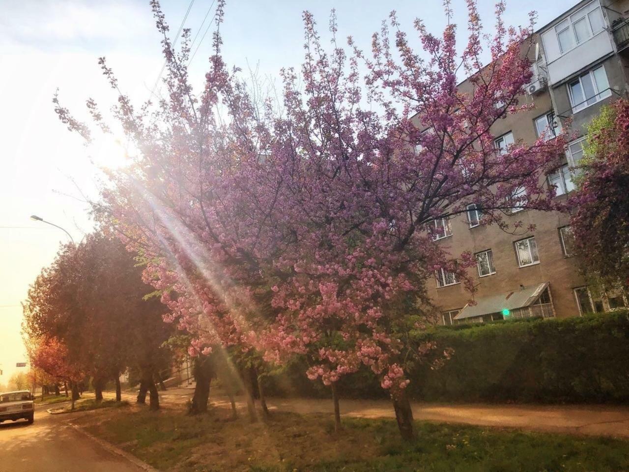 Арт Квартира В Центрі Міста Oujhorod Extérieur photo