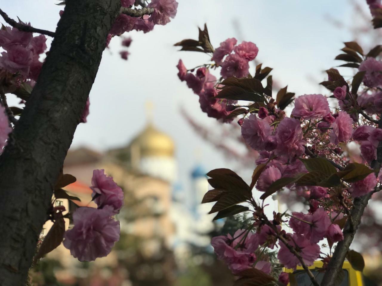Арт Квартира В Центрі Міста Oujhorod Extérieur photo
