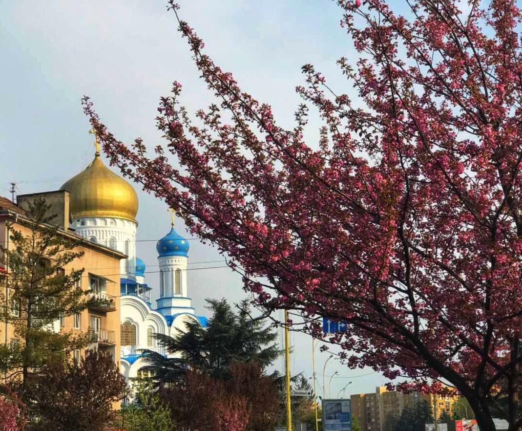 Арт Квартира В Центрі Міста Oujhorod Extérieur photo
